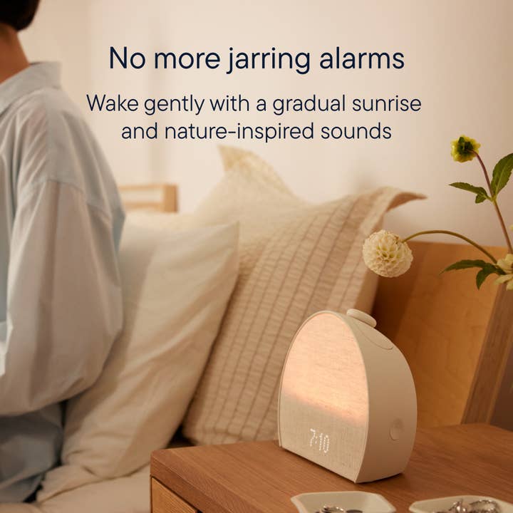 WHOLESALE HATCH ALARM CLOCK