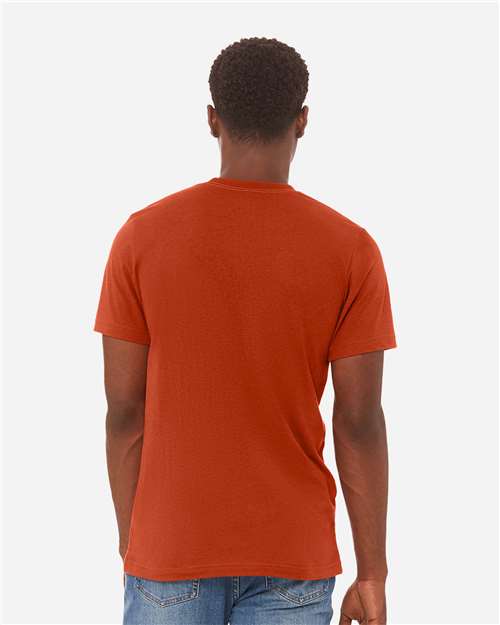 BELLA + CANVAS - 3413 - Triblend Tee