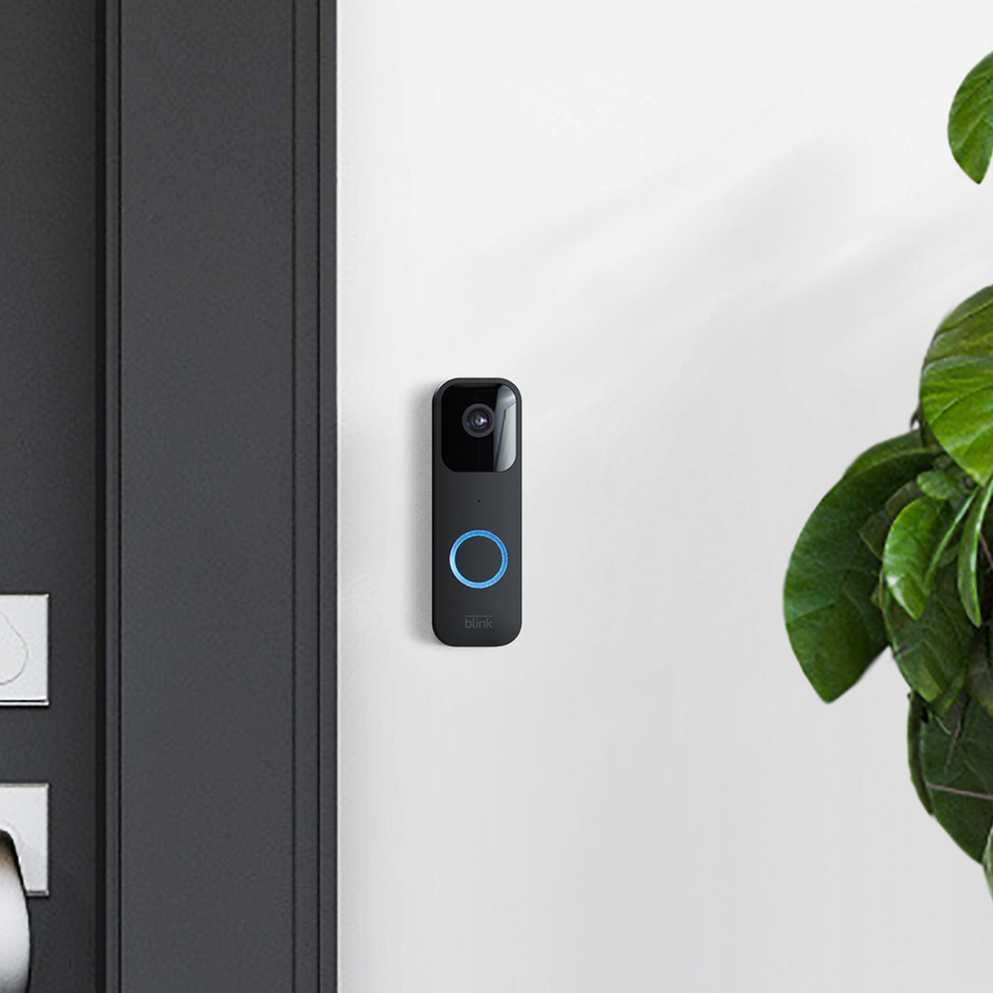 Blink Video Doorbell Standalone