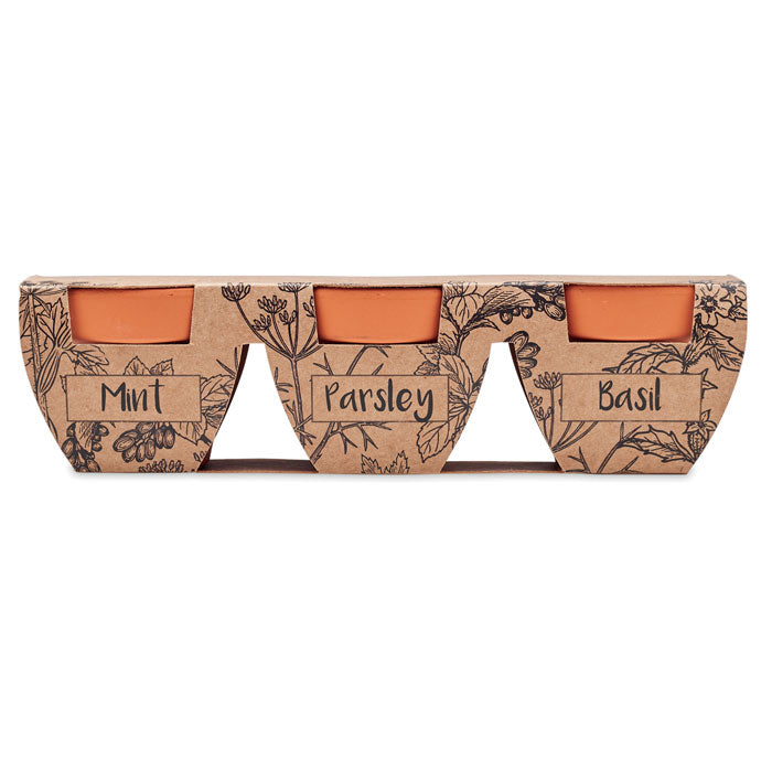 FLOWERPOT - Terracotta 3 herb pot set