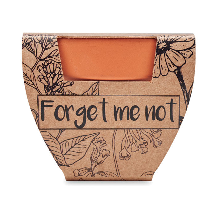 FORGET ME NOT - Terracotta pot 'forget me not'