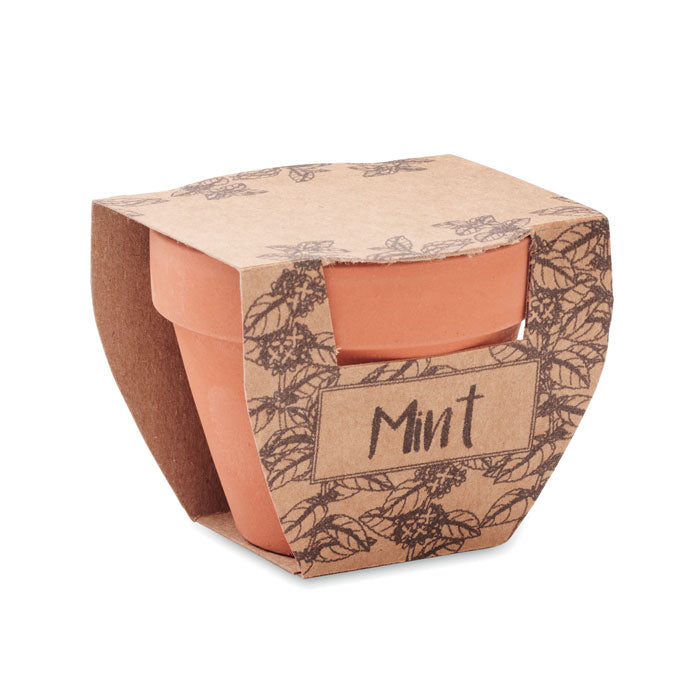 MINT POT - Terracotta pot mint seeds