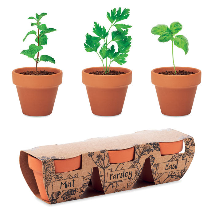 FLOWERPOT - Terracotta 3 herb pot set