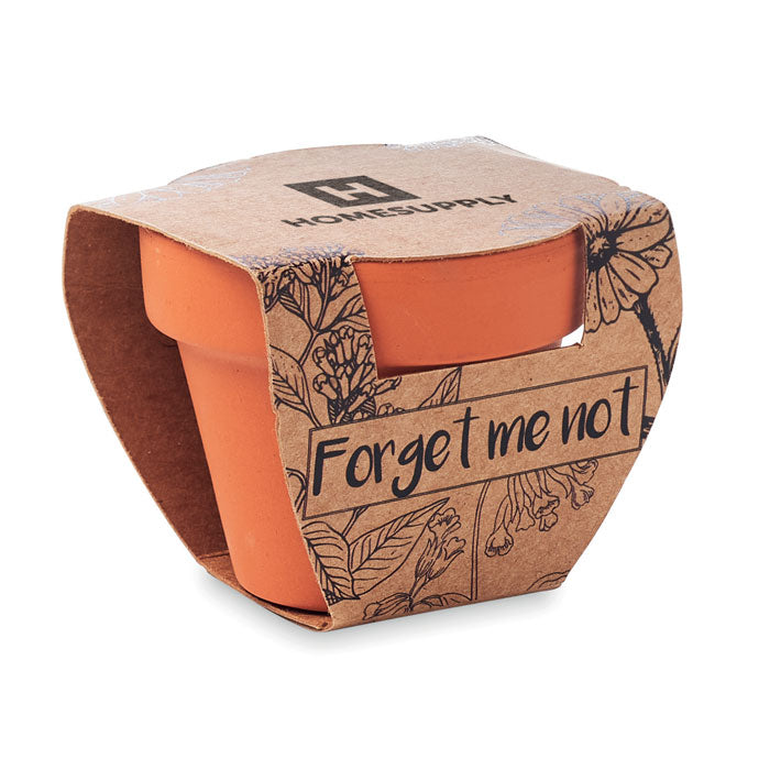 FORGET ME NOT - Terracotta pot 'forget me not'