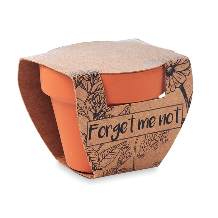 FORGET ME NOT - Terracotta pot 'forget me not'