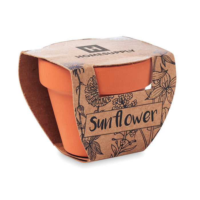 SUNFLOWER - Terracotta pot 'sunflower'