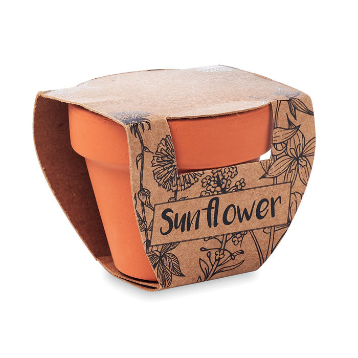 SUNFLOWER - Terracotta pot 'sunflower'
