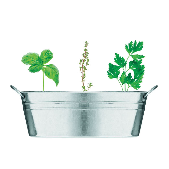 MIX SEEDS - Zinc tub with 3 herbs seeds