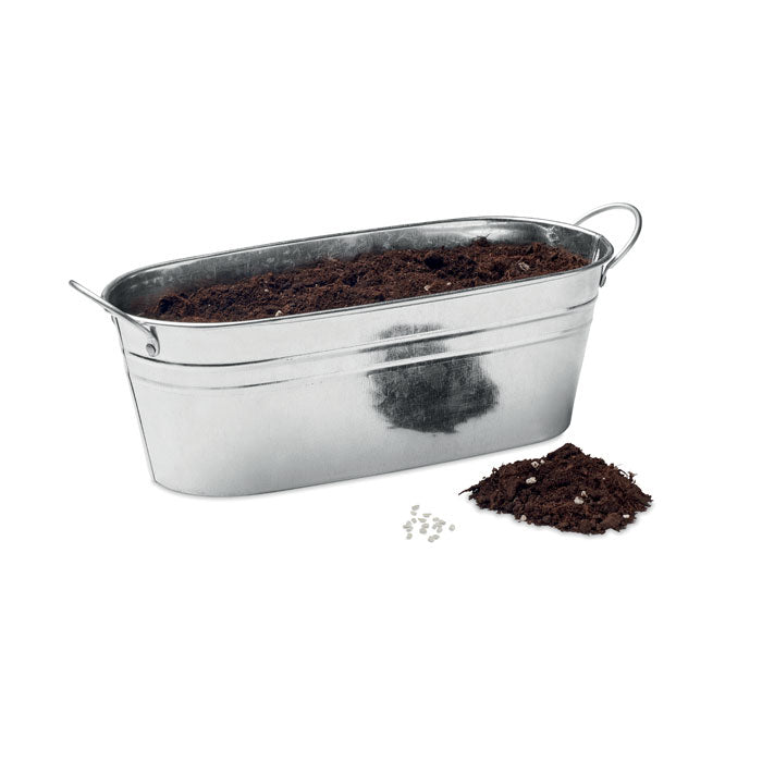 MIX SEEDS - Zinc tub with 3 herbs seeds