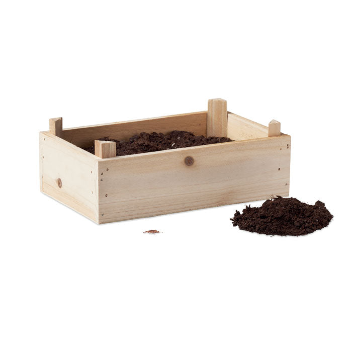 TOMATO - Tomato kit in wooden crate