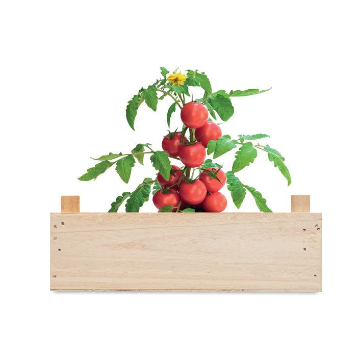 TOMATO - Tomato kit in wooden crate