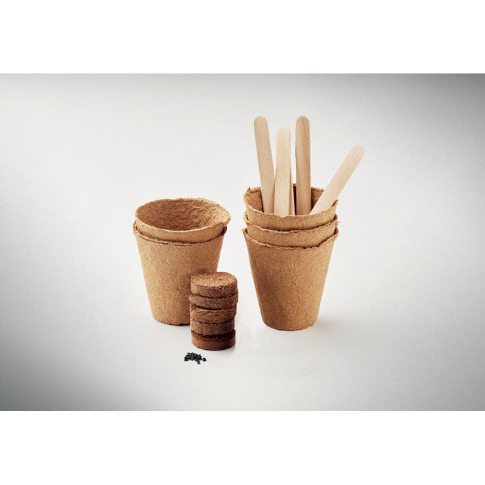 FLOWERS - Flowers growing kit