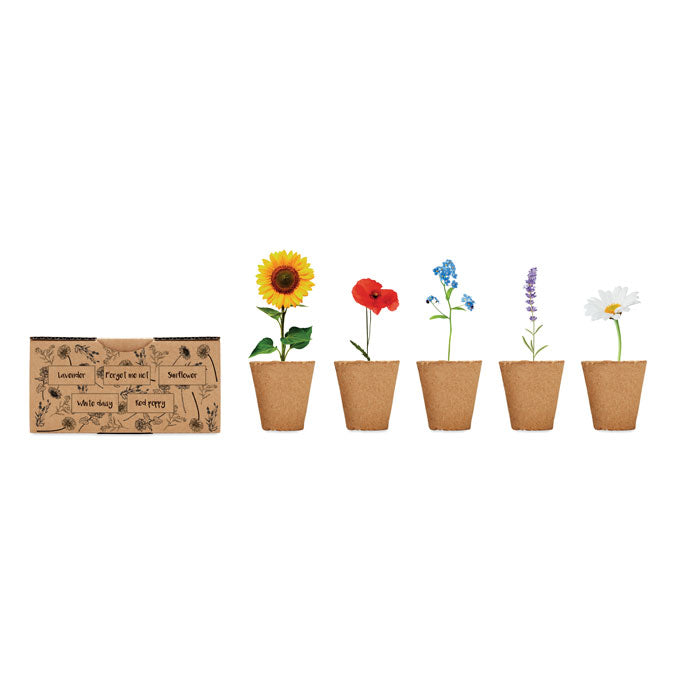 FLOWERS - Flowers growing kit