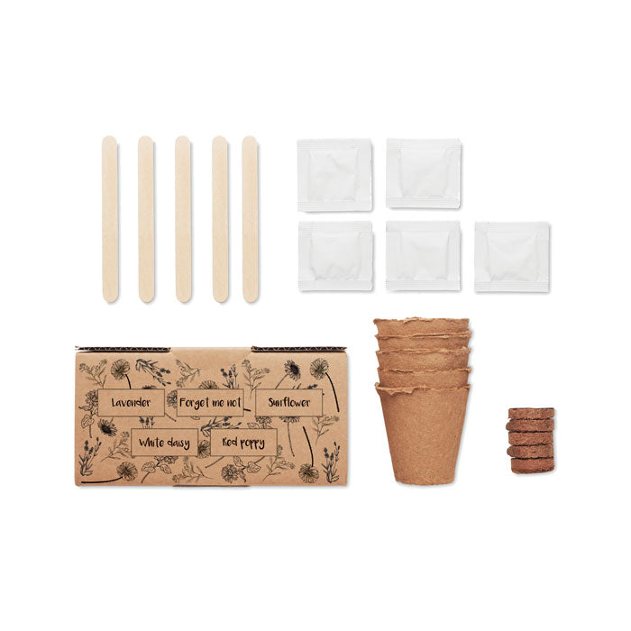 FLOWERS - Flowers growing kit