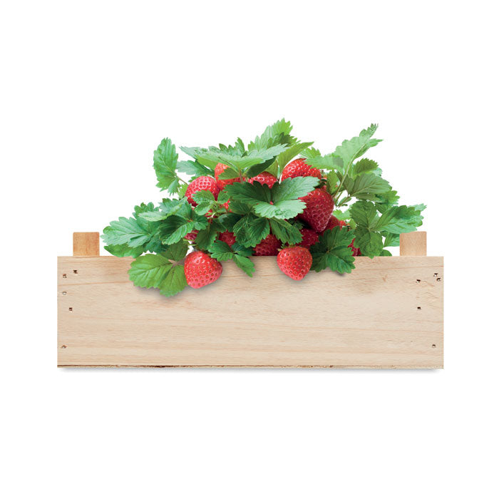 STRAWBERRY - Strawberry kit in wooden crate