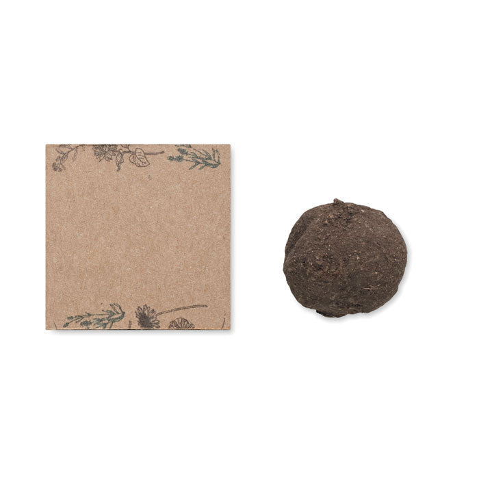 BOMBI - Seed bomb growing kit