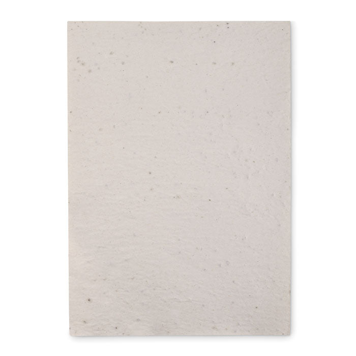 ASIDI - A4 wildflower seed paper sheet