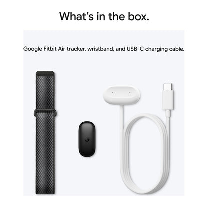 Google Fitbit - Air