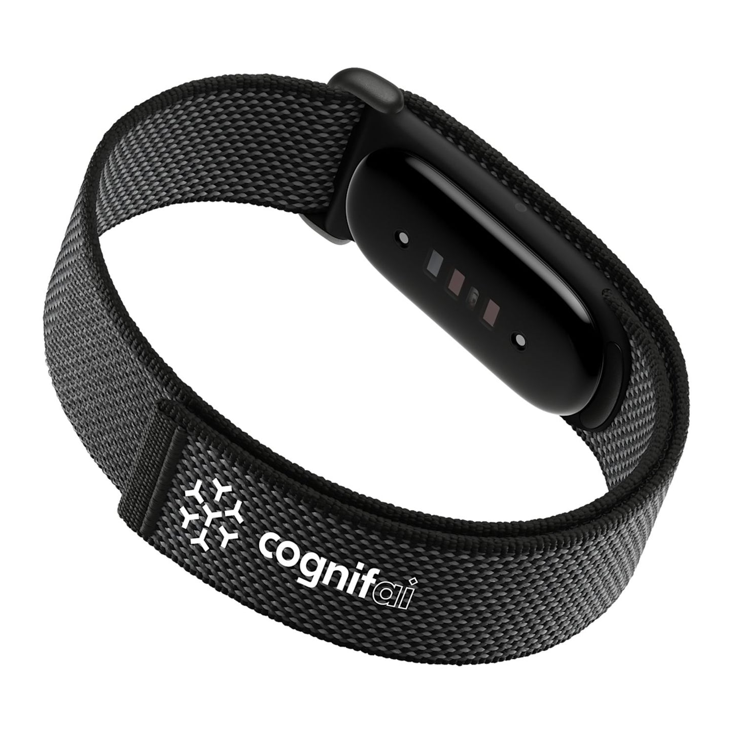 Google Fitbit - Air