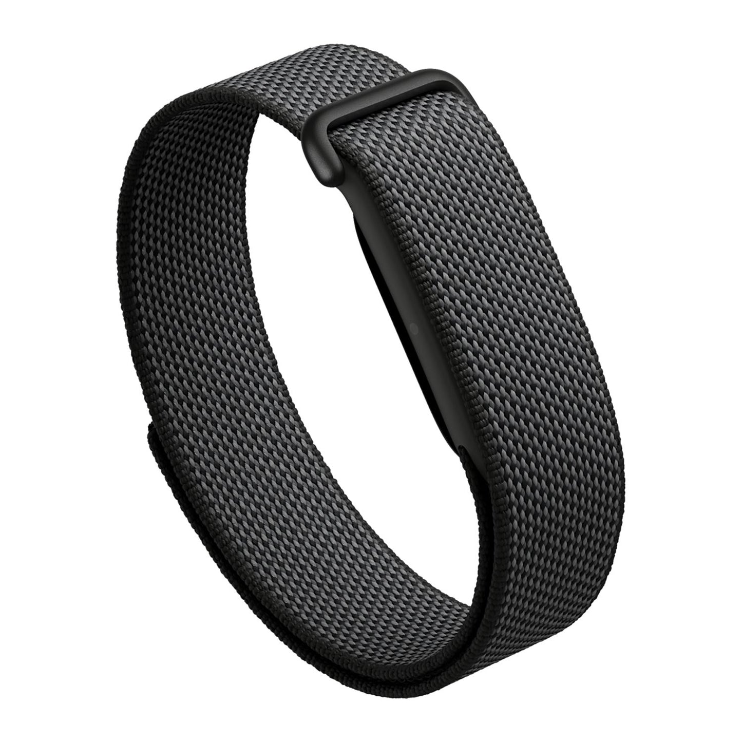 Google Fitbit - Air
