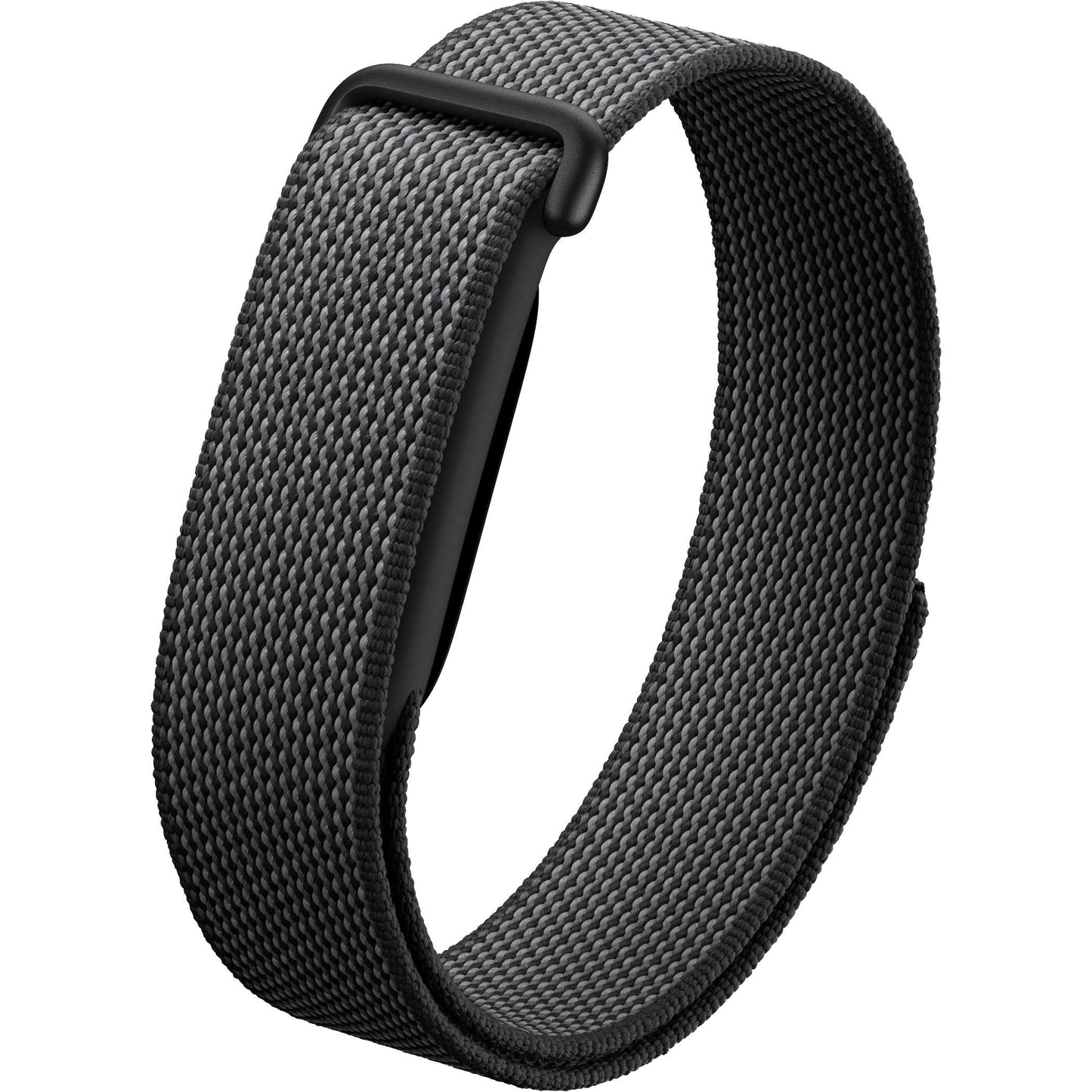 Google Fitbit Air