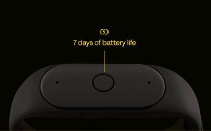 Bee - Wearable AI
