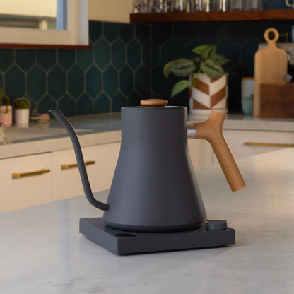 Fellow Stagg EKG Electric Kettle