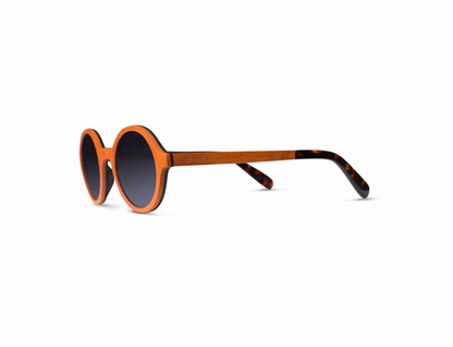 WOODIE - Walnut Ebony Polarized Sunglasses