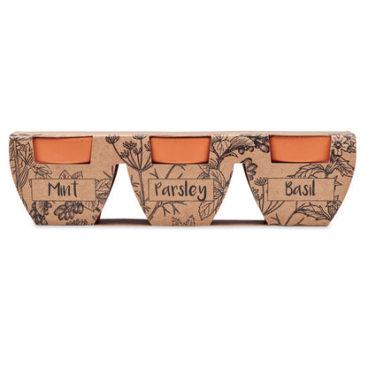 FLOWERPOT - Terracotta 3 herb pot set