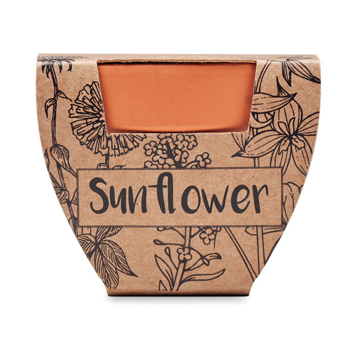 SUNFLOWER - Terracotta pot 'sunflower'