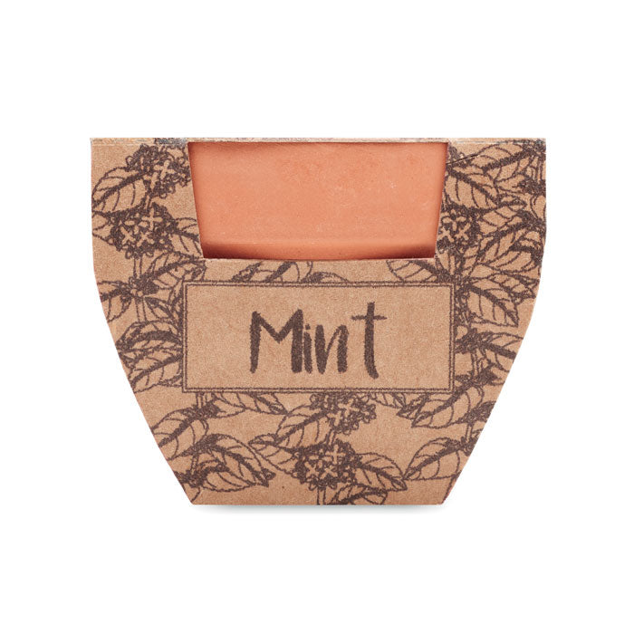 MINT POT - Terracotta pot mint seeds
