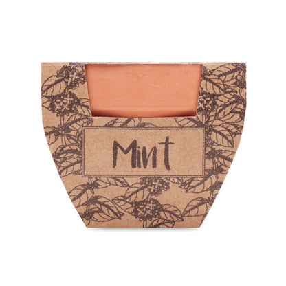 MINT POT - Terracotta pot mint seeds