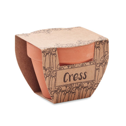 CRESS POT - Terracotta pot cress seeds