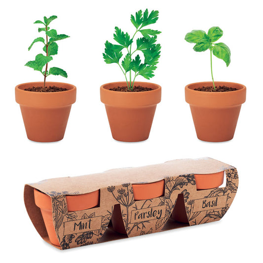 FLOWERPOT - Terracotta 3 herb pot set