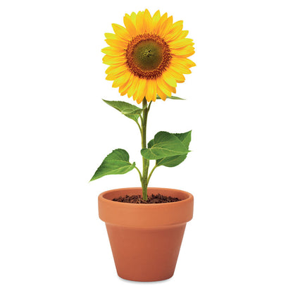 SUNFLOWER - Terracotta pot 'sunflower'