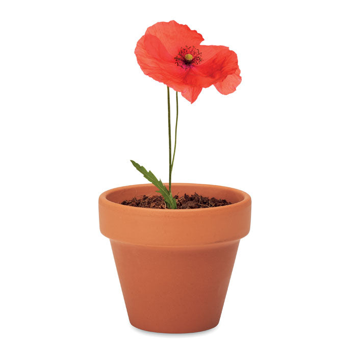 RED POPPY - Terracotta pot 'poppy'