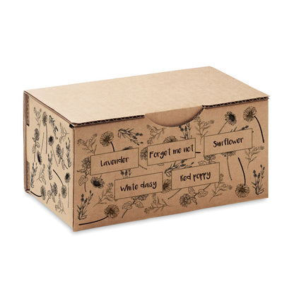 FLOWERS - Flowers growing kit