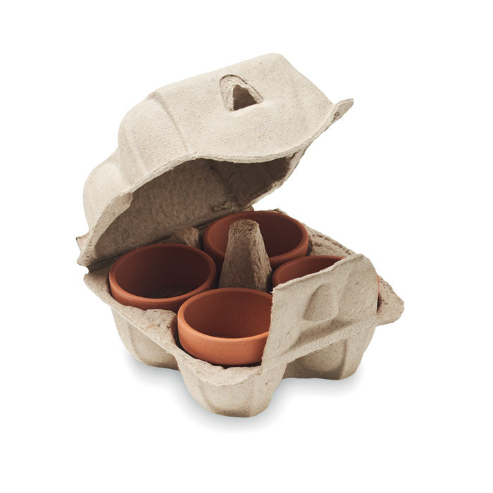 CRESS - Egg carton growing kit