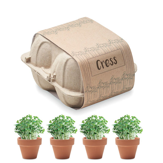 CRESS - Egg carton growing kit