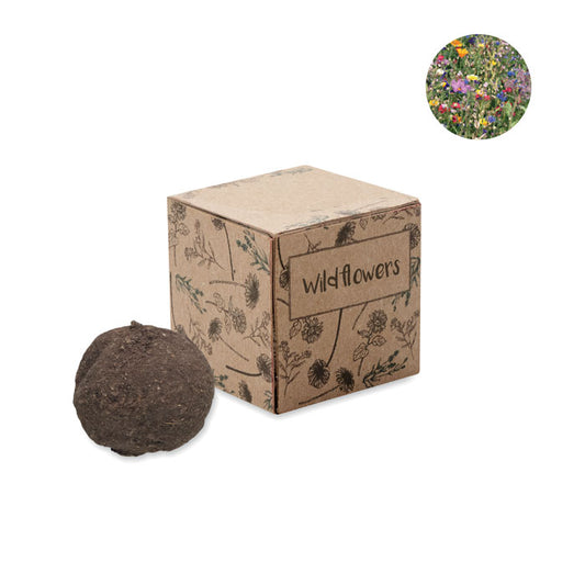BOMBI - Seed bomb growing kit