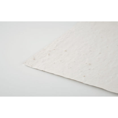 ASIDI - A4 wildflower seed paper sheet