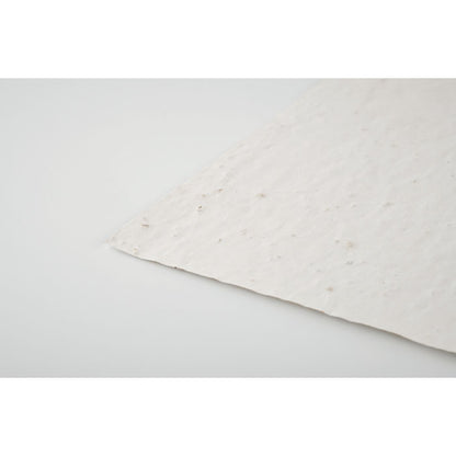 ASIDE - A5 wildflower seed paper sheet