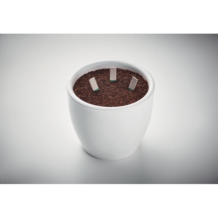 LEYTI - Herb seeds sticks