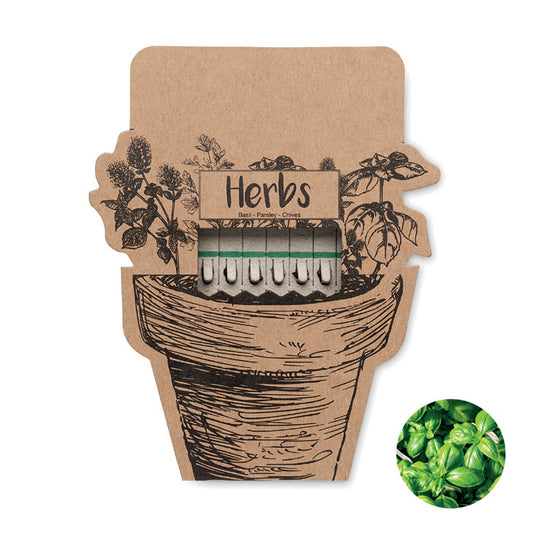 LEYTI - Herb seeds sticks